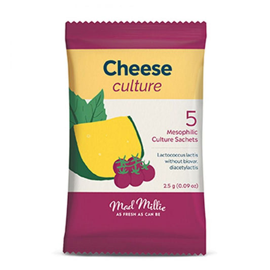 CULTURE - CHEESE